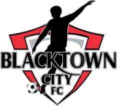 Logo Blacktown City Demons